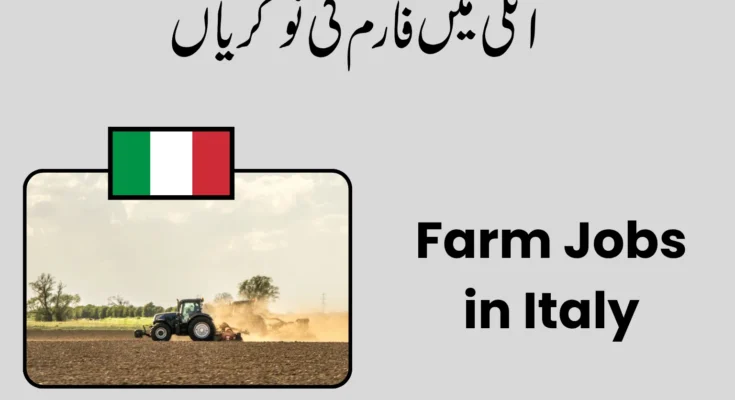 Farm Jobs in Italy