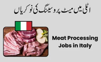 Meat Processing Jobs in Italy Salary, Careers & Opportunities 2026