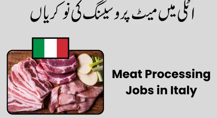 Meat Processing Jobs in Italy Salary, Careers & Opportunities 2026