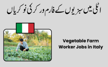 Vegetable Farm Worker Jobs in Italy