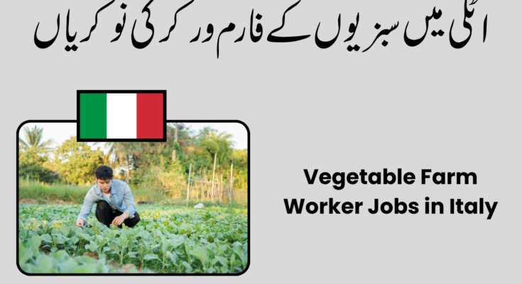 Vegetable Farm Worker Jobs in Italy