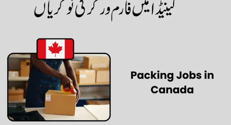 Packing Jobs in Canada