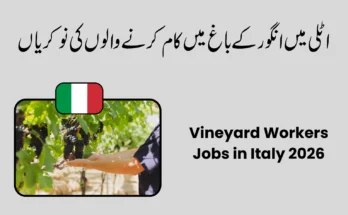 Vineyard Workers Jobs in Italy