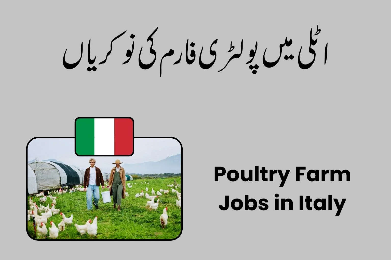 Poultry Farm Jobs in Italy